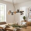 Chehalis hanging light, globe light, pendant light Amber, clear, Smoke-coloured, 8-light sources