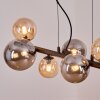 Chehalis hanging light, globe light, pendant light Amber, Smoke-coloured, 8-light sources