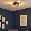Solir ceiling light LED black, 1-light source