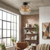 Ripoll ceiling light, globe light Amber, clear, 1-light source