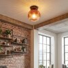 Ripoll ceiling light, globe light clear, coppery, 1-light source