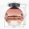 Ripoll ceiling light, globe light clear, coppery, 1-light source