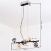 Chehalis hanging light, globe light, pendant light Amber, clear, Smoke-coloured, 8-light sources