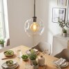 Ripoll hanging light, globe light, pendant light clear, 1-light source