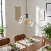 Ripoll hanging light, globe light, pendant light clear, 1-light source