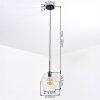 Ripoll hanging light, globe light, pendant light clear, 1-light source