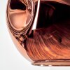 Ripoll hanging light, globe light, pendant light coppery, 1-light source