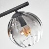 Koyoto ceiling light, globe light Amber, clear, Smoke-coloured, 4-light sources