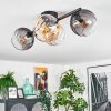 Koyoto ceiling light, globe light Amber, clear, Smoke-coloured, 4-light sources