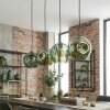 Ripoll hanging light, globe light, pendant light green, 4-light sources