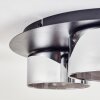 Folar ceiling light LED black, 3-light sources