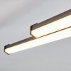 Fenol ceiling light LED black, 1-light source
