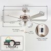 Stelo ceiling light, Ceiling fan light Ecru, matt nickel, silver, 3-light sources