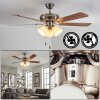 Stelo ceiling light, Ceiling fan light Ecru, matt nickel, silver, 3-light sources