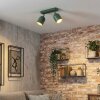 Horen ceiling light, ceiling spotlight green, 2-light sources