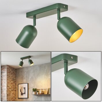 Horen ceiling light, ceiling spotlight green, 2-light sources