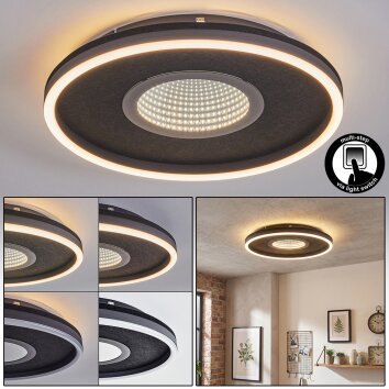 Halor ceiling light LED black, 1-light source
