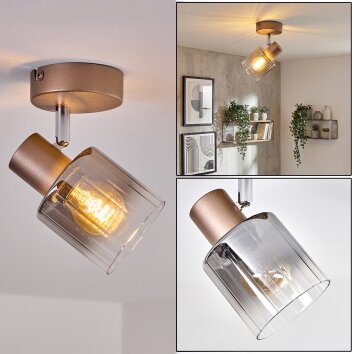 Casterk ceiling light, ceiling spotlight brown, chrome, 1-light source