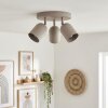 Horen ceiling light, ceiling spotlight sand-coloured, 3-light sources