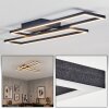 Hyacinthe ceiling light LED black, 1-light source