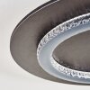 Lidor ceiling light LED anthracite, grey, 1-light source