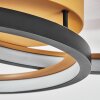 Baiyin ceiling light LED gold, black, 1-light source