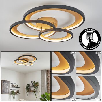 Baiyin ceiling light LED gold, black, 1-light source