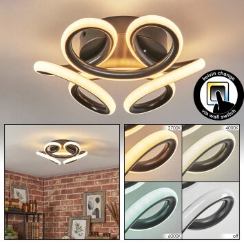 Jaren ceiling light LED anthracite, 1-light source