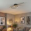 Goren ceiling light LED black, 1-light source