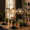 Koyoto hanging light, globe light, pendant light Amber, clear, Smoke-coloured, 3-light sources