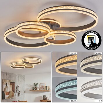 Rivex ceiling light LED titanium, 1-light source