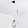 Ripoll hanging light, globe light, pendant light clear, 1-light source