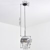 Ripoll hanging light, globe light, pendant light chrome, clear, Smoke-coloured, 1-light source