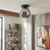 Ripoll ceiling light, globe light Smoke-coloured, 1-light source