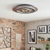 Lidor ceiling light LED gold, black, 1-light source, Remote control