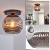 Ripoll ceiling light, globe light Smoke-coloured, 1-light source