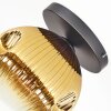 Ripoll ceiling light, globe light gold, clear, 1-light source