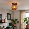 Ripoll ceiling light, globe light coppery, 1-light source