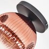 Ripoll ceiling light, globe light clear, coppery, 1-light source