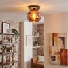 Ripoll ceiling light, globe light coppery, 1-light source