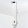 Ripoll hanging light, globe light, pendant light clear, 1-light source