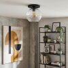 Koyoto ceiling light, globe light 25 cm clear, 1-light source