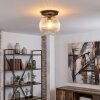 Koyoto ceiling light, globe light 25 cm clear, 1-light source