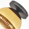 Koyoto ceiling light, globe light 26 cm gold, clear, 1-light source