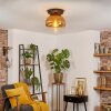 Koyoto ceiling light, globe light 25 cm gold, clear, 1-light source