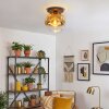 Ripoll ceiling light, globe light gold, clear, 1-light source