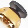 Ripoll ceiling light, globe light gold, clear, 1-light source