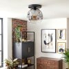 Ripoll ceiling light, globe light clear, Smoke-coloured, 1-light source