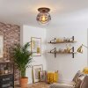 Ripoll ceiling light, globe light clear, Smoke-coloured, 1-light source