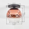Ripoll ceiling light, globe light clear, coppery, 1-light source